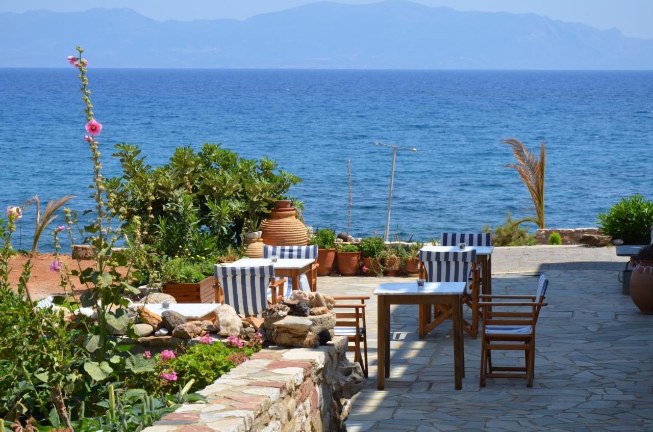 Pelagia Aphrodite Hotel Agia Pelagia  Facilities photo